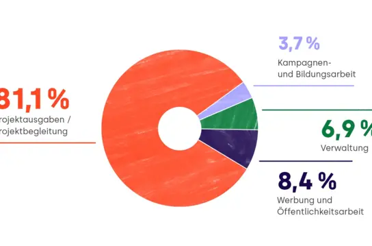 Tortendiagramm: Ertrag von Terre des Hommes nach DZI-Kategorien
